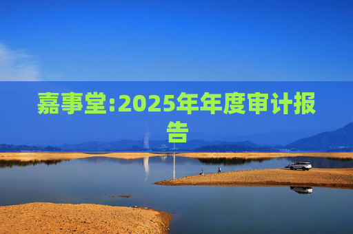 嘉事堂:2025年年度审计报告
