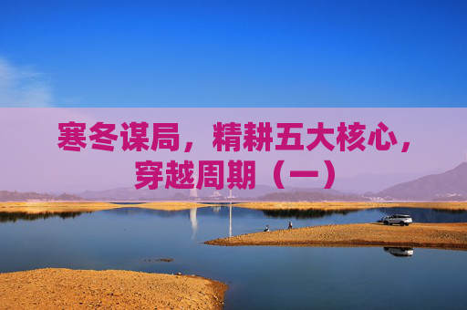 寒冬谋局，精耕五大核心，穿越周期（一）  第1张