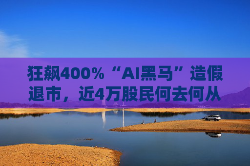 狂飙400%“AI黑马”造假退市，近4万股民何去何从？