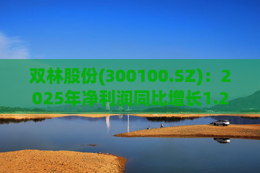 双林股份(300100.SZ)：2025年净利润同比增长1.25% 拟10股派1元
