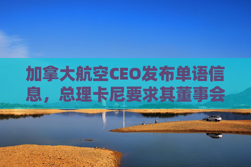 加拿大航空CEO发布单语信息，总理卡尼要求其董事会作出解释