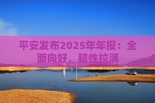 平安发布2025年年报：全面向好，韧性拉满