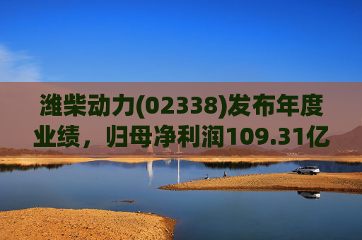 潍柴动力(02338)发布年度业绩，归母净利润109.31亿元 同比减少4.15%  第1张