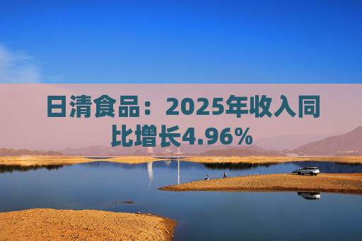 日清食品：2025年收入同比增长4.96%  第1张