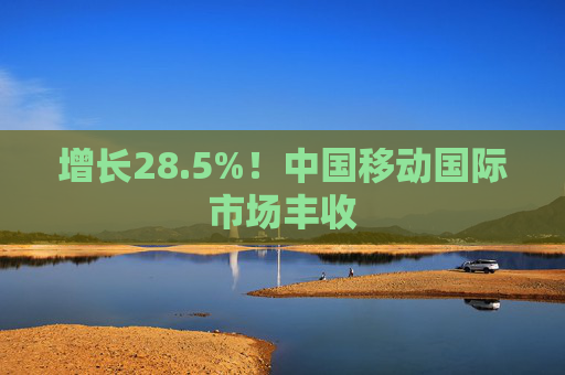 增长28.5%！中国移动国际市场丰收
