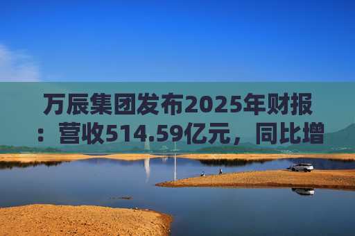 万辰集团发布2025年财报：营收514.59亿元，同比增长59.17%  第1张