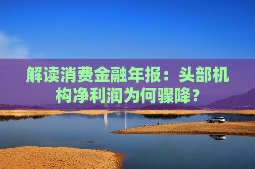 解读消费金融年报:头部机构净利润为何骤降? 第1张 解读消费金融年报:头部机构净利润为何骤降? 第1张