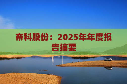 帝科股份：2025年年度报告摘要  第1张