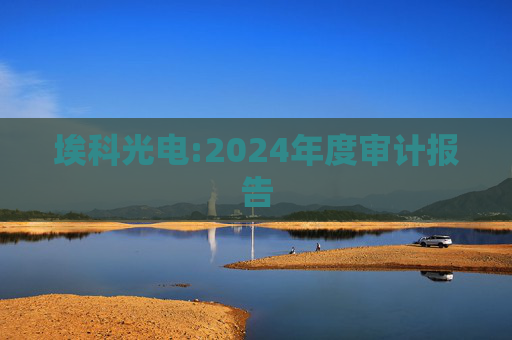埃科光电:2024年度审计报告