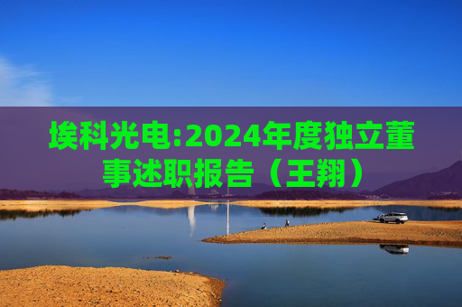 埃科光电:2024年度独立董事述职报告（王翔）