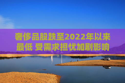 奢侈品股跌至2022年以来最低 受需求担忧加剧影响  第1张