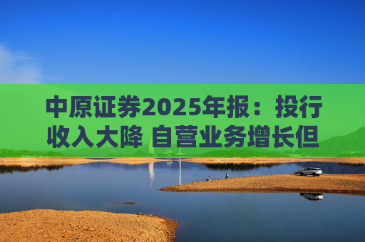 中原证券2025年报：投行收入大降 自营业务增长但趋于保守  第1张