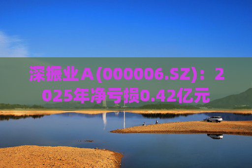 深振业Ａ(000006.SZ)：2025年净亏损0.42亿元