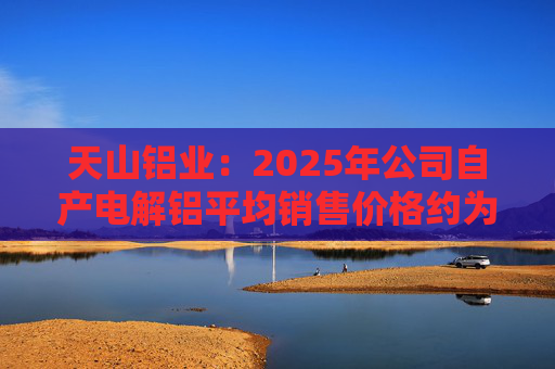天山铝业：2025年公司自产电解铝平均销售价格约为20600元/吨