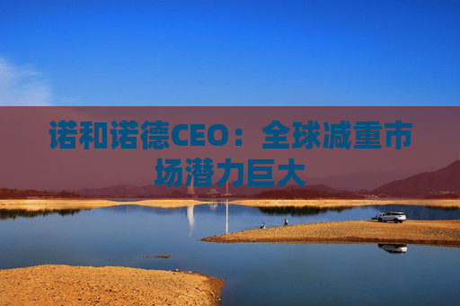诺和诺德CEO：全球减重市场潜力巨大
