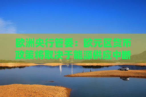 欧洲央行管委：欧元区货币政策将取决于能源供应中断规模