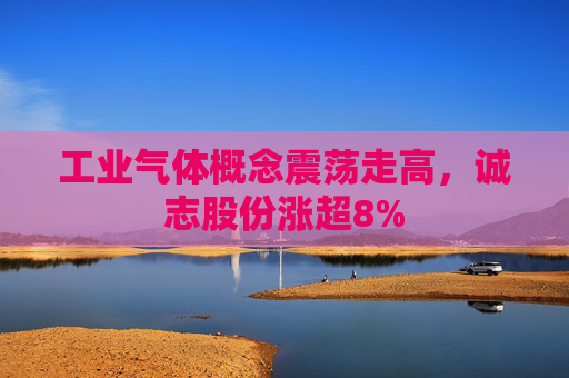 工业气体概念震荡走高，诚志股份涨超8%