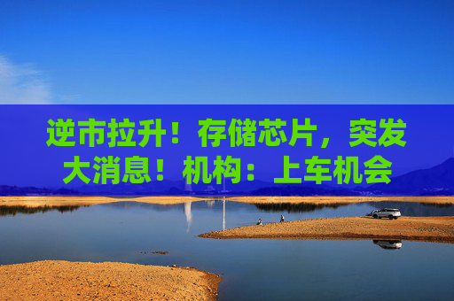 逆市拉升！存储芯片，突发大消息！机构：上车机会  第1张