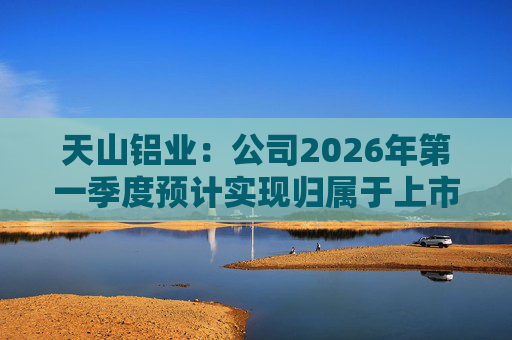 天山铝业：公司2026年第一季度预计实现归属于上市公司股东的净利润220000万元