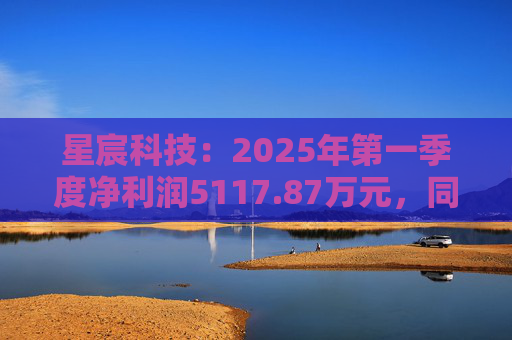 星宸科技:2025年第一季度净利润5117.87万元,同比增长0.48%