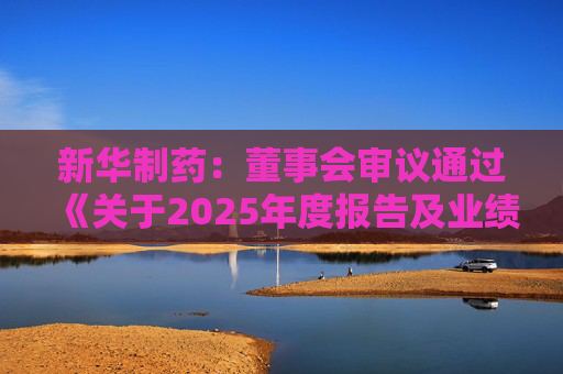 新华制药：董事会审议通过《关于2025年度报告及业绩公告的议案》等多项议案  第1张