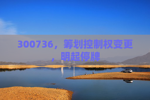 300736，筹划控制权变更，明起停牌