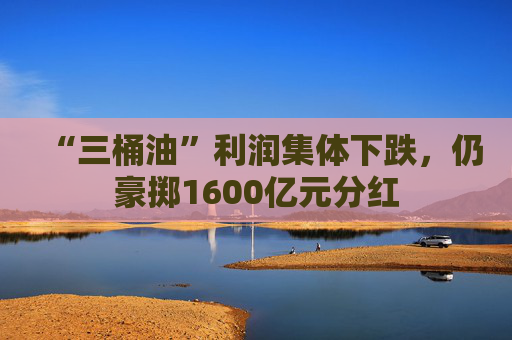 “三桶油”利润集体下跌，仍豪掷1600亿元分红