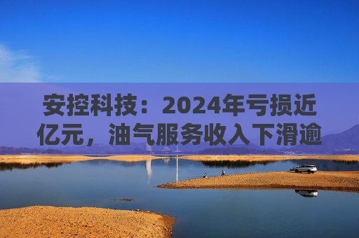 安控科技：2024年亏损近亿元，油气服务收入下滑逾两成  第1张