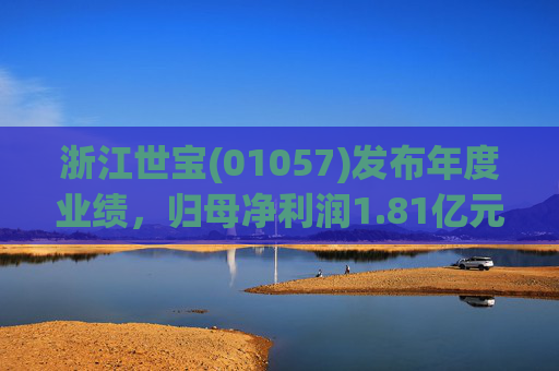 浙江世宝(01057)发布年度业绩，归母净利润1.81亿元 同比增加21.05%