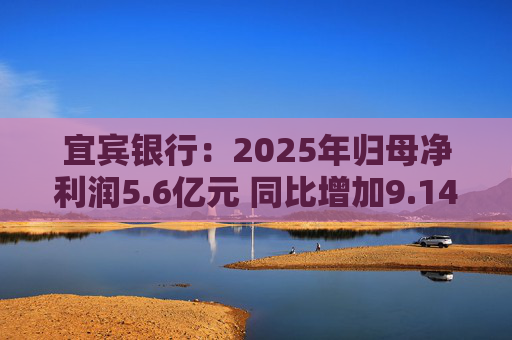 宜宾银行：2025年归母净利润5.6亿元 同比增加9.14%