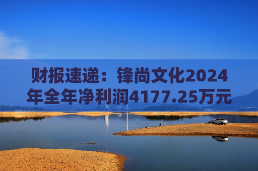 财报速递:锋尚文化2024年全年净利润4177.25万元 第1张 财报速递:锋尚文化2024年全年净利润4177.25万元 第1张