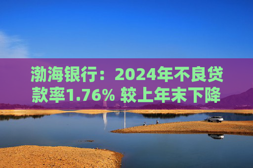 渤海银行：2024年不良贷款率1.76% 较上年末下降0.02个百分点