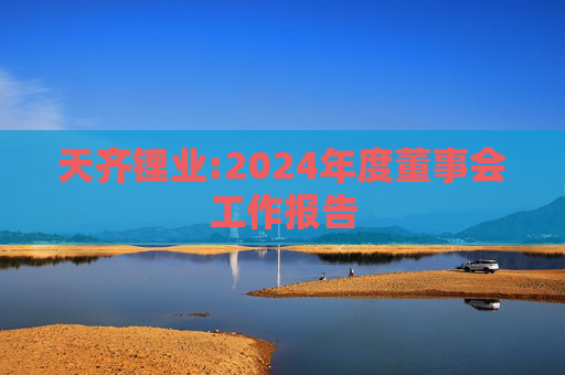 天齐锂业:2024年度董事会工作报告  第1张