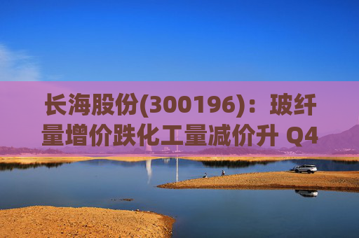 长海股份(300196)：玻纤量增价跌化工量减价升 Q4业绩同比显著修复  第1张
