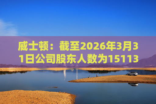威士顿：截至2026年3月31日公司股东人数为15113户  第1张