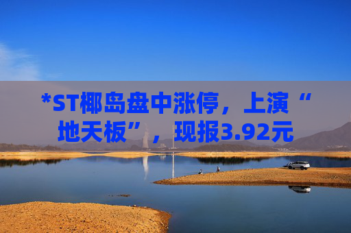 *ST椰岛盘中涨停，上演“地天板”，现报3.92元
