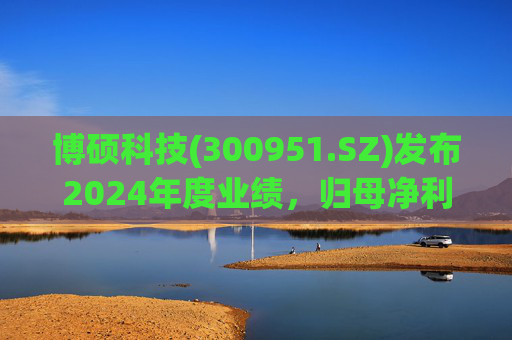 博硕科技(300951.SZ)发布2024年度业绩,归母净利润2.11亿元,同比下降17.35% 第1张 博硕科技(300951.SZ)发布2024年度业绩,归母净利润2.11亿元,同比下降17.35% 第1张
