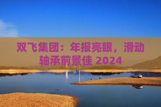 双飞集团：年报亮眼，滑动轴承前景佳 2024  第1张