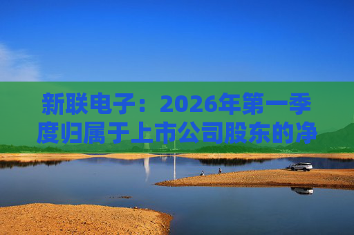 新联电子：2026年第一季度归属于上市公司股东的净利润是91152716.65元
