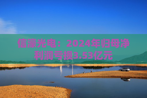 信濠光电：2024年归母净利润亏损3.53亿元  第1张