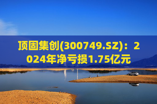 顶固集创(300749.SZ)：2024年净亏损1.75亿元