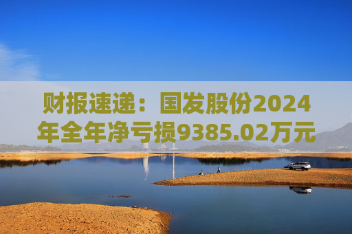 财报速递：国发股份2024年全年净亏损9385.02万元  第1张