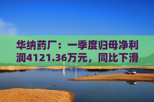 华纳药厂：一季度归母净利润4121.36万元，同比下滑31.37%