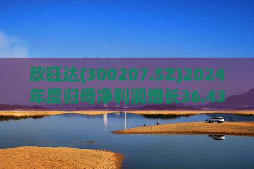 欣旺达(300207.SZ)2024年度归母净利润增长36.43%至14.68亿元，动力电池出货量合计25.29GWh