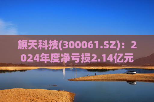 旗天科技(300061.SZ)：2024年度净亏损2.14亿元