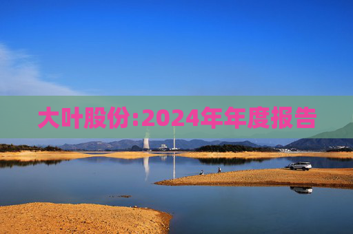 大叶股份:2024年年度报告  第1张