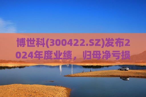 博世科(300422.SZ)发布2024年度业绩，归母净亏损8.65亿元，扩大300.66%