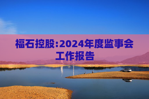 福石控股:2024年度监事会工作报告