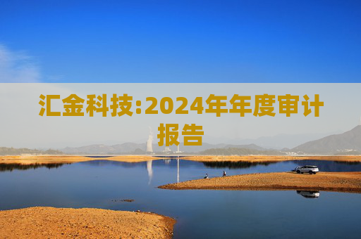 汇金科技:2024年年度审计报告  第1张