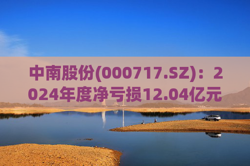 中南股份(000717.SZ):2024年度净亏损12.04亿元 第1张 中南股份(000717.SZ):2024年度净亏损12.04亿元 第1张